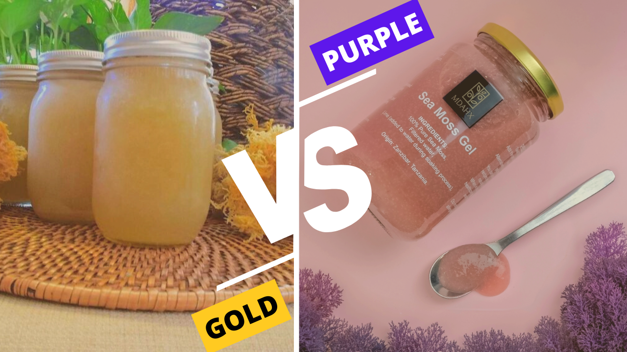 Exploring the Depths: The Scientific Superiority of Purple Sea Moss Over Golden